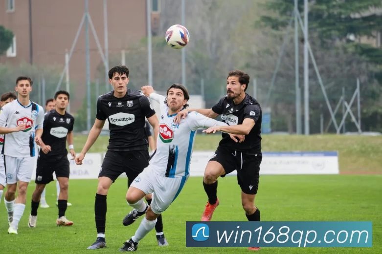 App Interface Preview