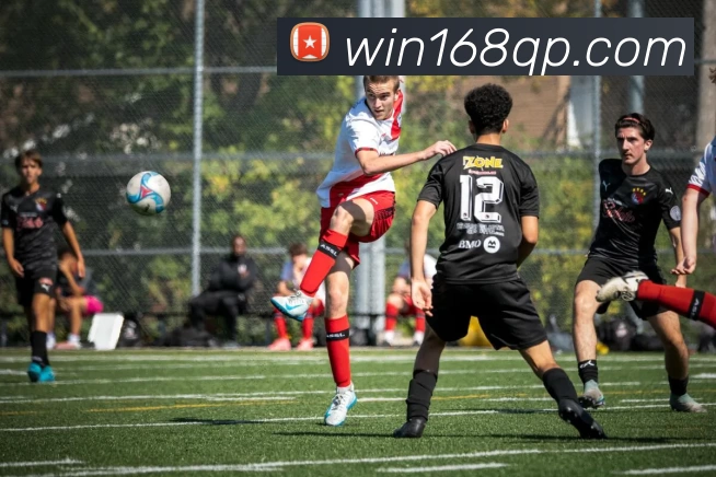 168棋牌官网APP 封面图